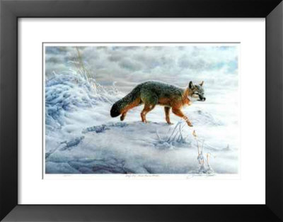 Swift Fox by J. Vanderbrink Pricing Limited Edition Print image