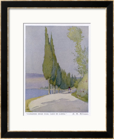 Row Of Cypress Trees Edge The Path Near Salo Lake Garda by M. Mccrossan Pricing Limited Edition Print image