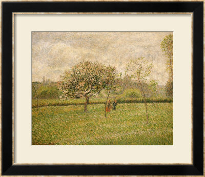 Apple Tree Blossom At Eragny by Camille Pissarro Pricing Limited Edition Print image