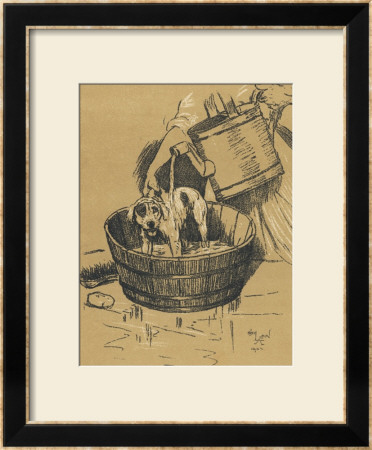 Rather Uncomfortable-Looking Dog Is Given His Bath by Cecil Aldin Pricing Limited Edition Print image