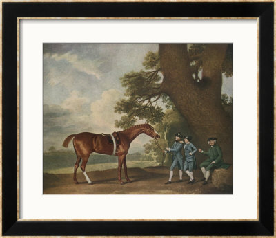 Great-Grandson Of Darley Arabian Raced 1769-1770 In 18 Races All Of Which He Won by George Stubbs Pricing Limited Edition Print image