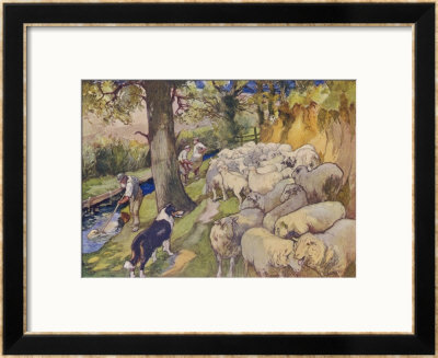 Sheep Dipping: Three Men A Dog And A Large Flock Of Sheep by Edwin Noble Pricing Limited Edition Print image