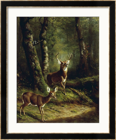 Buck And Doe In The Adirondacks by Arthur Fitzwilliam Tait Pricing Limited Edition Print image