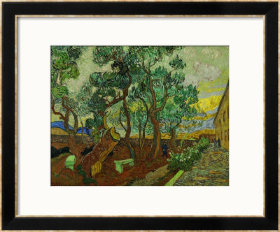 The Garden Of St. Paul's Hospital At St. Remy, C.1889 by Vincent Van Gogh Pricing Limited Edition Print image
