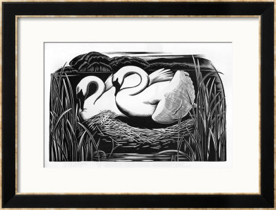 Two Swans by Clifford Webb Pricing Limited Edition Print image