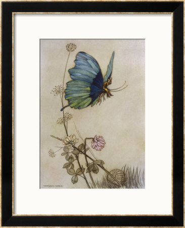 He Rides On The Back Of A Butterfly by Warwick Goble Pricing Limited Edition Print image