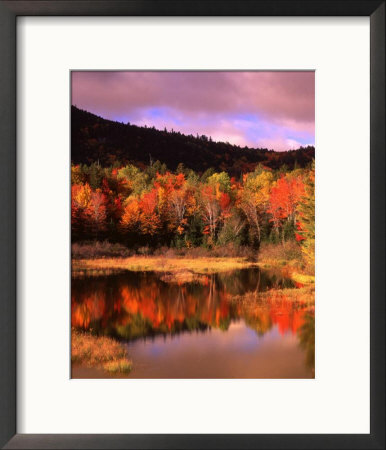 Small Pond And Fall Foliage Reflection, Katahdin Region, Maine, Usa by Howie Garber Pricing Limited Edition Print image