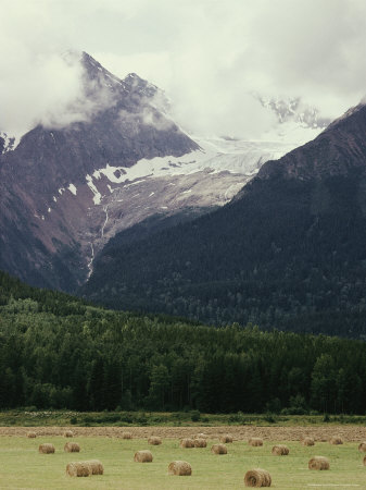 Glacier Descending From Clouded Mountains Contrasts With A Field Dotted With Rolls Of Hay by Sylvia Sharnoff Pricing Limited Edition Print image