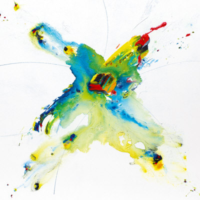 Flying Colours Ii by Hansjorg Furrer Pricing Limited Edition Print image
