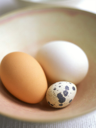 Quail's Egg With Brown And White Hen's Egg In A Dish by David Loftus Pricing Limited Edition Print image