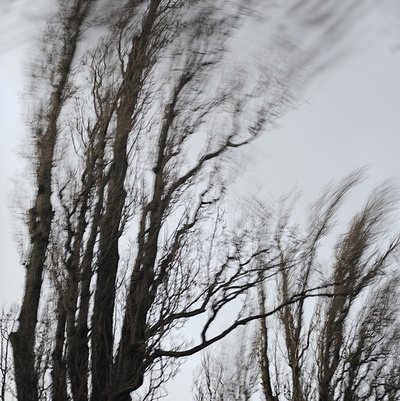 Kapitel Drei - Windbaume #30 by Sabine Wenzel Pricing Limited Edition Print image