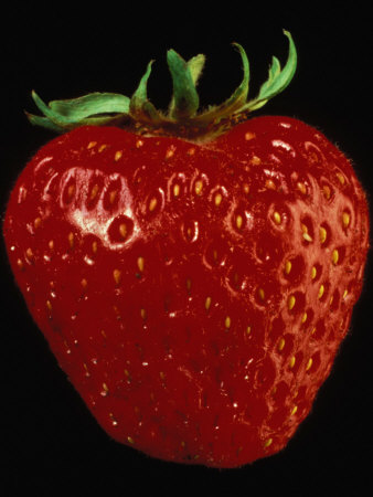 Close-Up Of A Strawberry by Fogstock Llc Pricing Limited Edition Print image