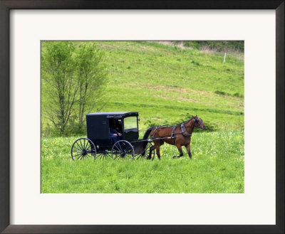 Amish Horse And Buggy Near Berlin, Ohio, Usa by David R. Frazier Pricing Limited Edition Print image