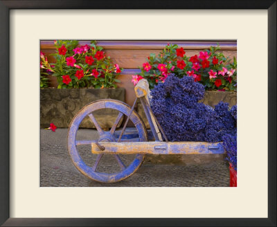 Old Wooden Cart With Fresh-Cut Lavender, Sault, Provence, France by Jim Zuckerman Pricing Limited Edition Print image
