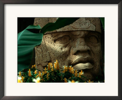 Olmec, Colossal Head, San Lorenzo, Xalapa Museum, Veracruz, Mexico by Kenneth Garrett Pricing Limited Edition Print image