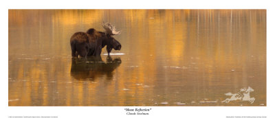Moose Reflection by Claude Steelman Pricing Limited Edition Print image
