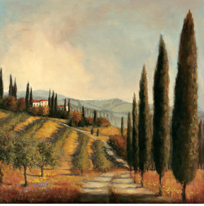 Valley Vineyard by Jill Schultz Mcgannon Pricing Limited Edition Print image