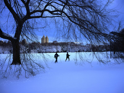 Cross-Country Skiers Crossing Great Lawn In Central Park, New York City, Usa by Corey Wise Pricing Limited Edition Print image