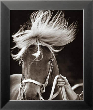 The Horse by Yves Perton Pricing Limited Edition Print image