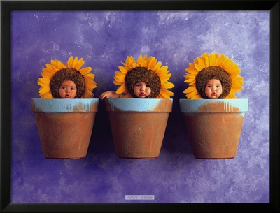 Sunflower Trio by Anne Geddes Pricing Limited Edition Print image