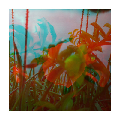 Vegetaux 19, 2012 by Nicolas Le Beuan Benic Pricing Limited Edition Print image