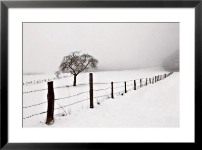 Snowy Landscape by Ilona Wellman Pricing Limited Edition Print image