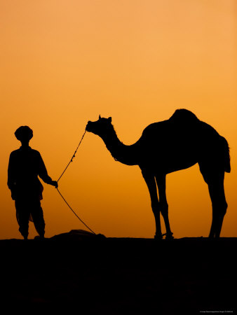 Silhouette Of Camel Trader And Camel At Sunset At Pushkar Camel Fair by Gavin Gough Pricing Limited Edition Print image