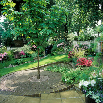 Sloping Garden With Aesculus Hippocastanum (Horse Chestnut) Feature Tree by David Askham Pricing Limited Edition Print image