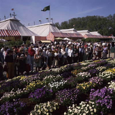 People At Chelsea Flower Show Viola Collection, Cawrhorne, Kent 1992 by David Askham Pricing Limited Edition Print image