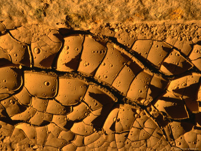 Mud Drying In Heat, Death Valley National Park, Usa by Cheryl Conlon Pricing Limited Edition Print image