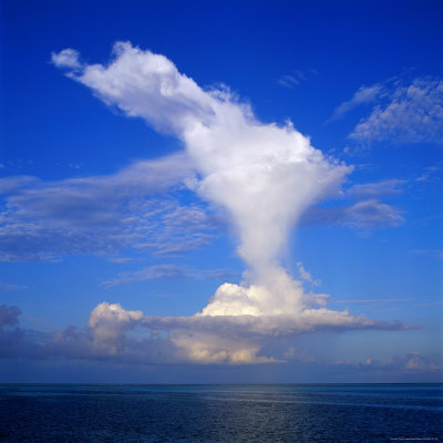 A Thunderhead Over The Ocean, Maldives by Dennis Wisken Pricing Limited Edition Print image