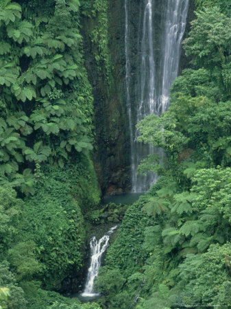 Waterfall, Samoa Island, Southwestern Pacific by Patricio Robles Gil Pricing Limited Edition Print image