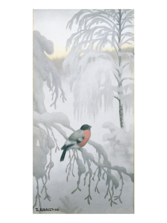 Bullfinch, 1913 (W/C On Paper) by Theodor Severin Kittelsen Pricing Limited Edition Print image
