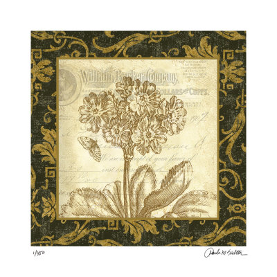 Primrose by Paula Scaletta Pricing Limited Edition Print image