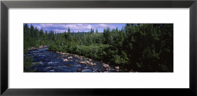 Stream Flowing Through A Forest, Little Williow Creek, Hatcher Pass Road, Alaska, Usa by Panoramic Images Pricing Limited Edition Print image