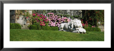 Lion Statue In A Garden, Torosay Castle, Isle Of Mull, Scotland by Panoramic Images Pricing Limited Edition Print image