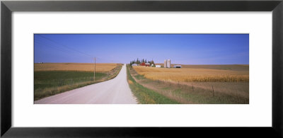 Dirt Road Passing Through Corn Fields, Minnesota, Usa by Panoramic Images Pricing Limited Edition Print image
