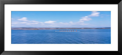 Crew Rowing On A Lake by Panoramic Images Pricing Limited Edition Print image