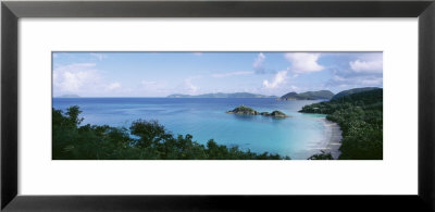 Island And A Beach, Trunk Bay, St. John, Us Virgin Islands by Panoramic Images Pricing Limited Edition Print image