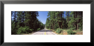 Highway Passing Through The Forest, Highway 89, California, Usa by Panoramic Images Pricing Limited Edition Print image