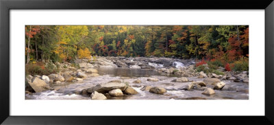 River Flowing Through The Wilderness, White Mountains National Forest, New Hampshire, Usa by Panoramic Images Pricing Limited Edition Print image