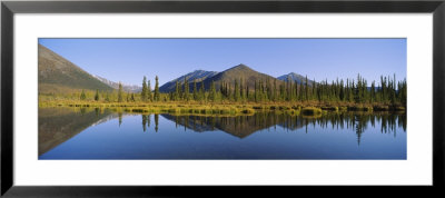 Reflection Of Pine Trees In Water, View From Dempster Highway, Blackstone River, Yukon, Canada by Panoramic Images Pricing Limited Edition Print image