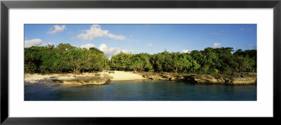 Cayman Islands, Grand Cayman, Smiths Cove, View Of A Beach by Panoramic Images Pricing Limited Edition Print image