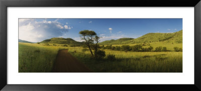 Dirt Road Running Through A Landscape, South Africa by Panoramic Images Pricing Limited Edition Print image