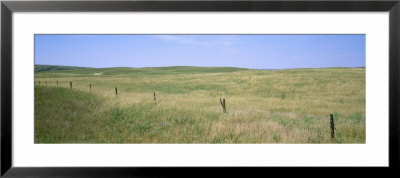 Grass On A Field, Cherry County, Nebraska, Usa by Panoramic Images Pricing Limited Edition Print image