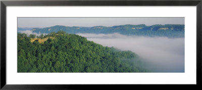 Trees On Hills, Double Arch, Daniel Boone National Forest, Kentucky, Usa by Panoramic Images Pricing Limited Edition Print image
