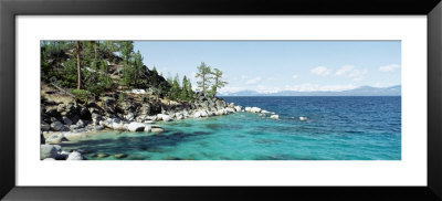 North Shore, Lake Tahoe, California, Usa by Panoramic Images Pricing Limited Edition Print image