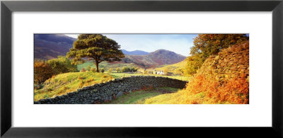 Lake District, United Kingdom by Panoramic Images Pricing Limited Edition Print image