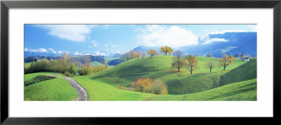 Rolling Landscape, Zug, Switzerland by Panoramic Images Pricing Limited Edition Print image