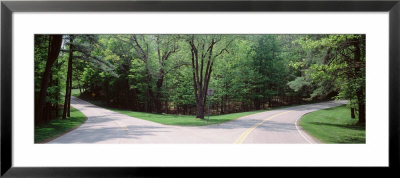 Fork In A Road Surrounded By Trees, Park Road, Letchworth State Park, New York State, Usa by Panoramic Images Pricing Limited Edition Print image